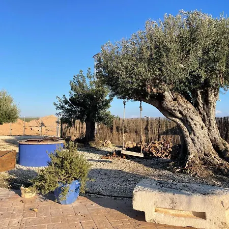 Сasa de vacaciones La Casa Del Olivo Écija