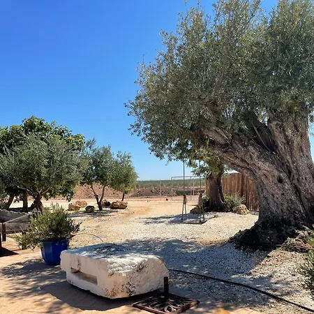 La Casa Del Olivo *